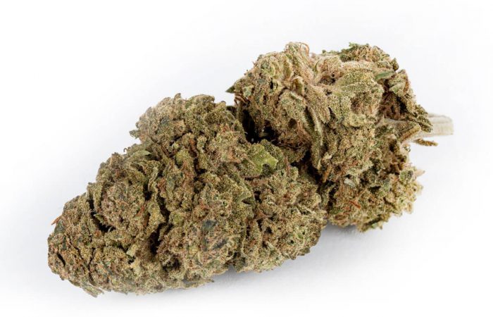 White Widow CBD Strain