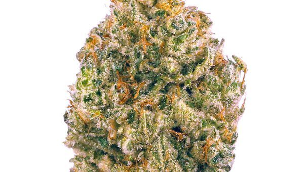 AK-45 Strain