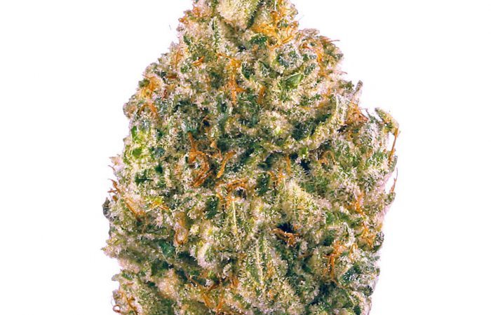 AK-45 Strain