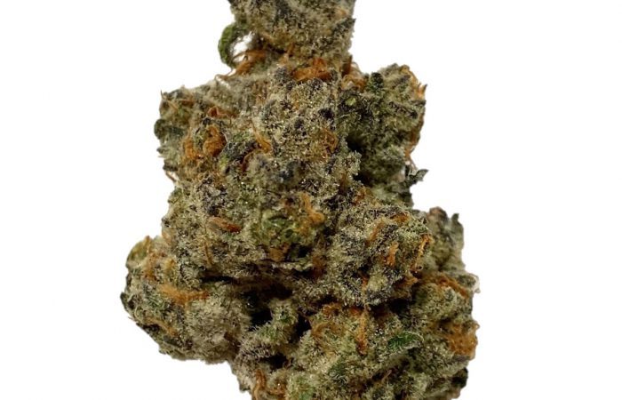 Girl Scout Cookies Extreme Strain