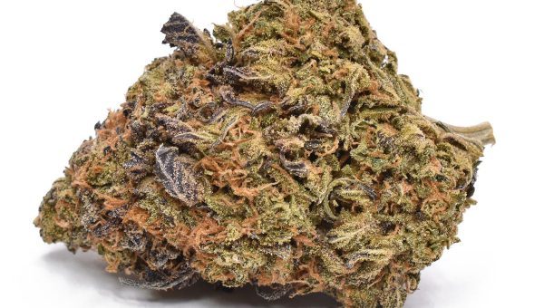 Poison Berry Strain