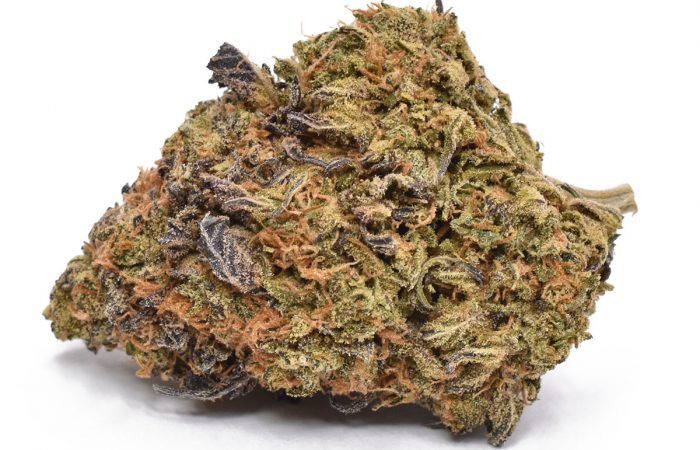 Poison Berry Strain