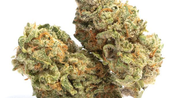 Skunk Kush Weed Strain