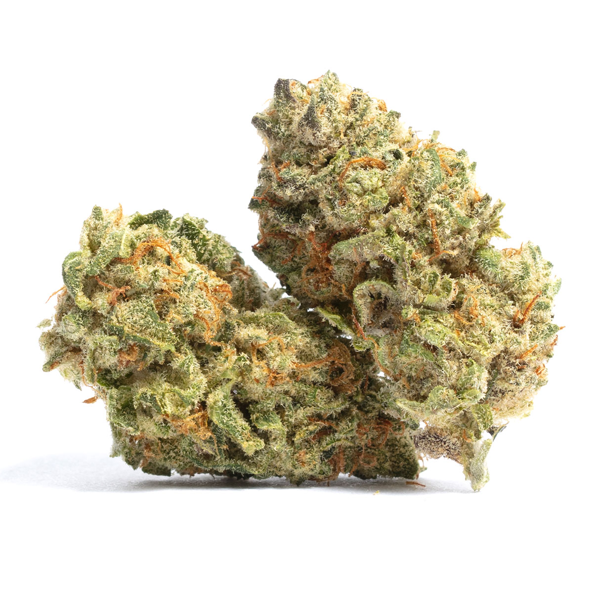 Skunk Kush Weed Strain
