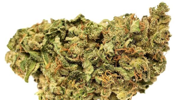Sour Kush Strain