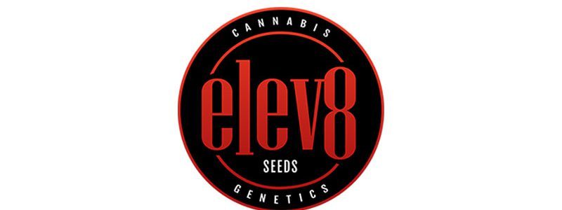 Elev8 Seeds