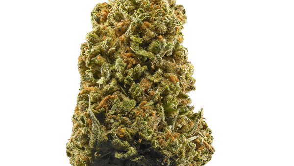 Lamb’s Bread Strain