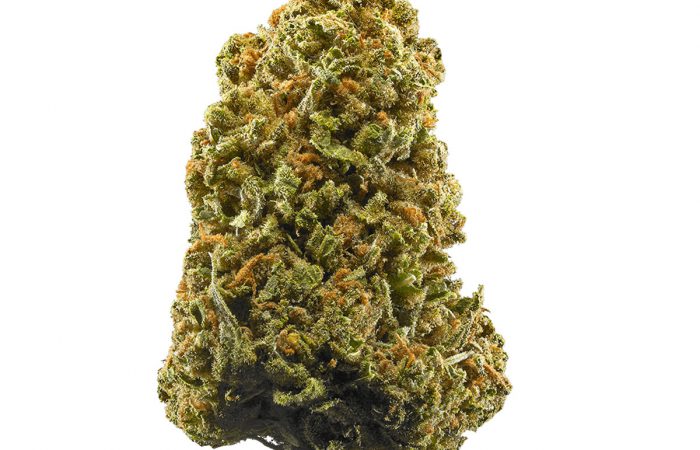 Lamb’s Bread Strain