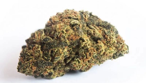 Strawberry Kush Strain