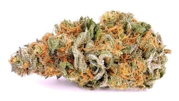 Trainwreck Weed Strain
