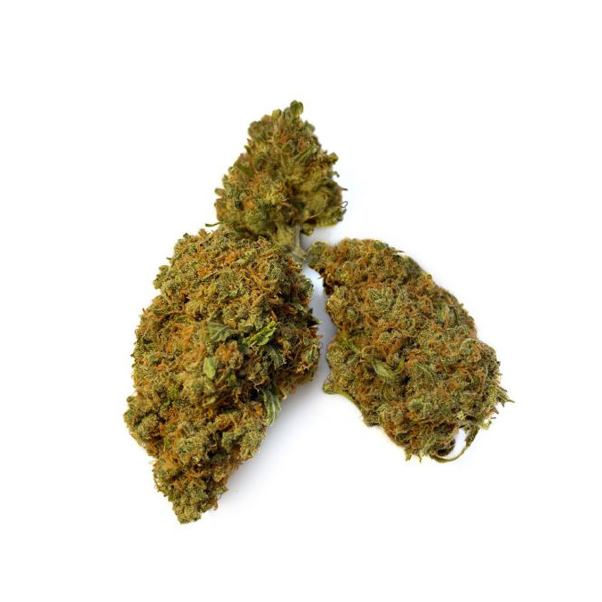 BCN Critical XXL Strain