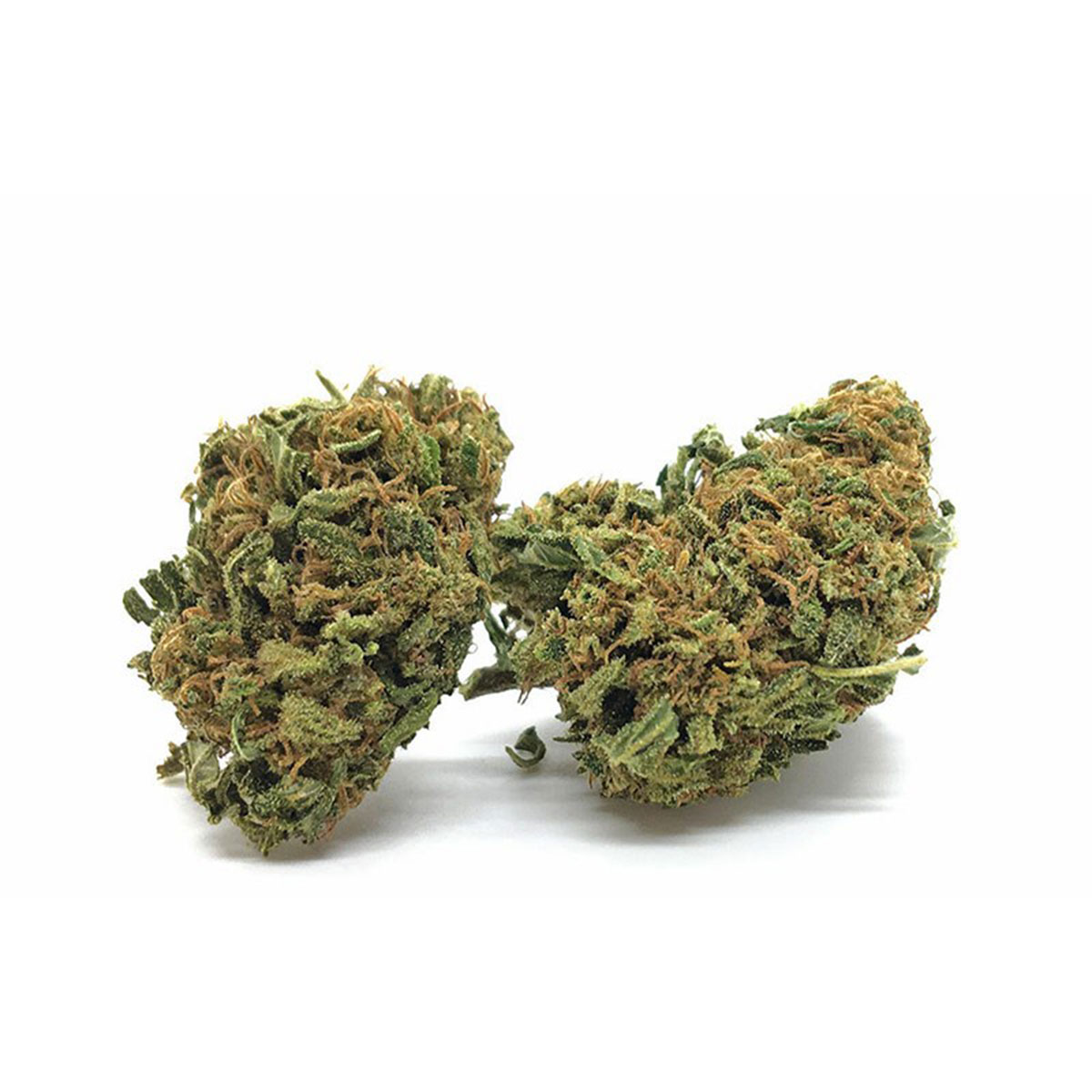 CBD Moby Dick Weed Strain