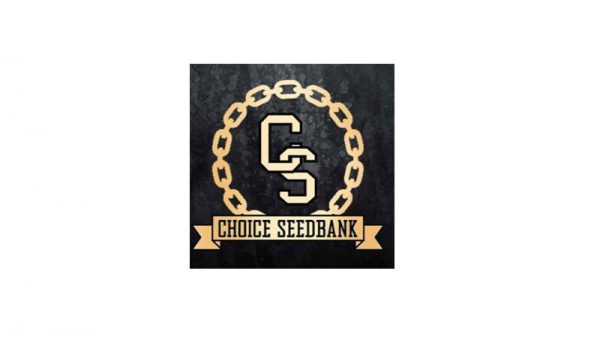 Choice Seedbank