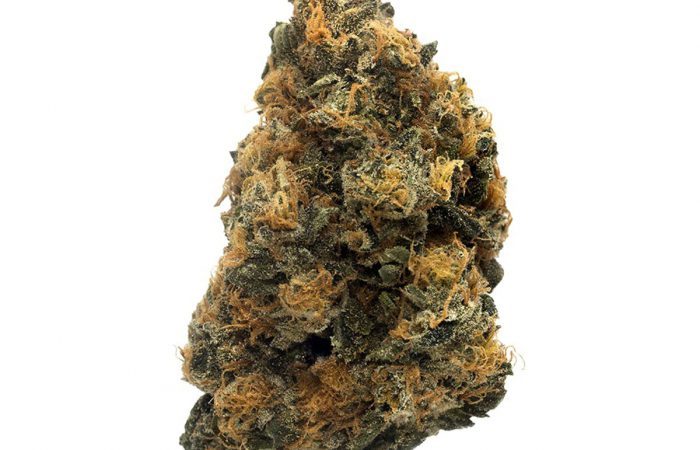 Runtz Muffin Weed Strain