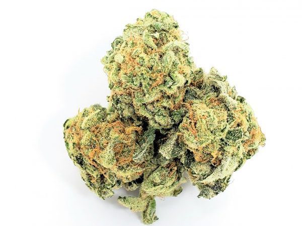 Black Haze Weed Strain