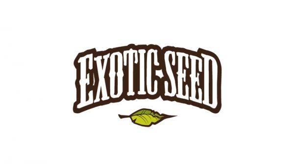 Exotic Seed