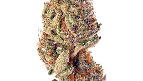 Slurricane Weed Strain