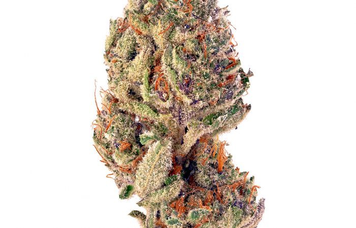 Slurricane Weed Strain