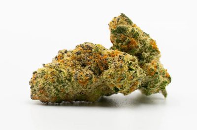 Cafe Racer Weed Strain