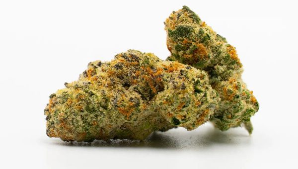 Cafe Racer Weed Strain