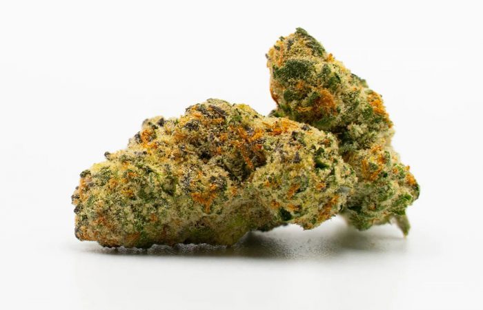 Cafe Racer Weed Strain