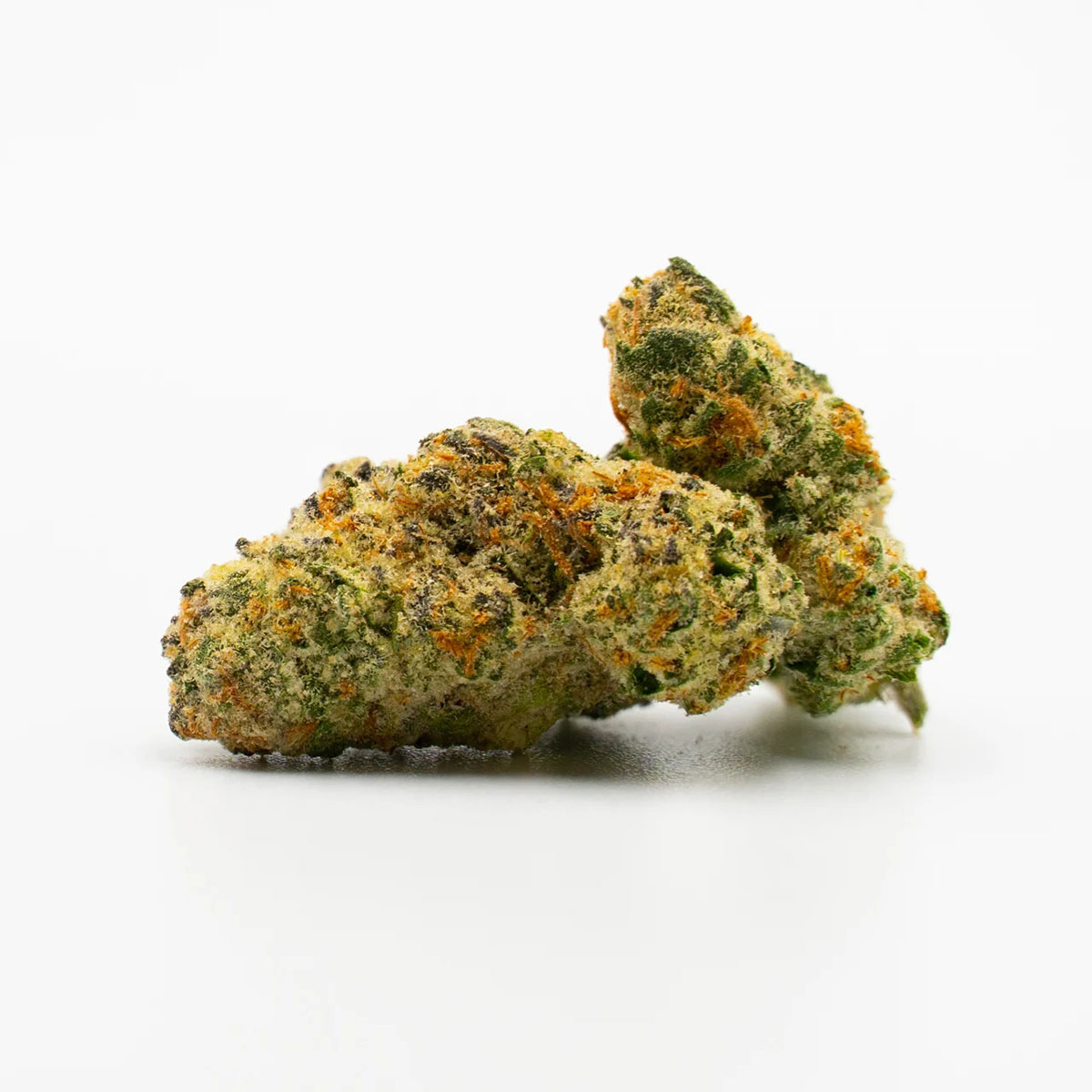 Cafe Racer Weed Strain