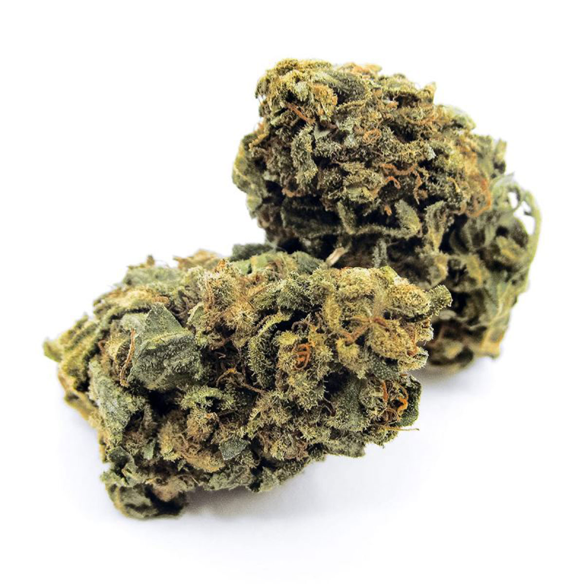 Cheese CBD Weed Strain
