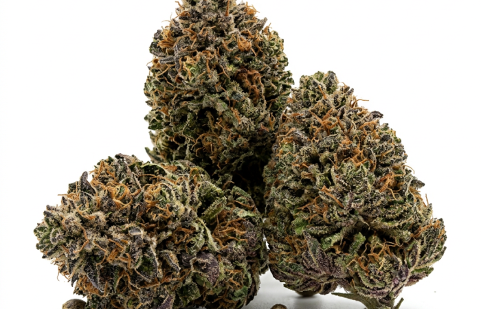 Ayahuasca Purple cannabis seeds - product photo