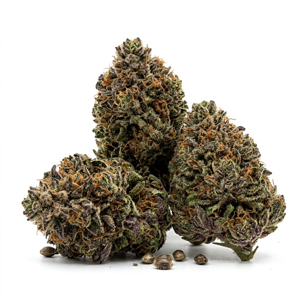 Ayahuasca Purple cannabis seeds - product photo