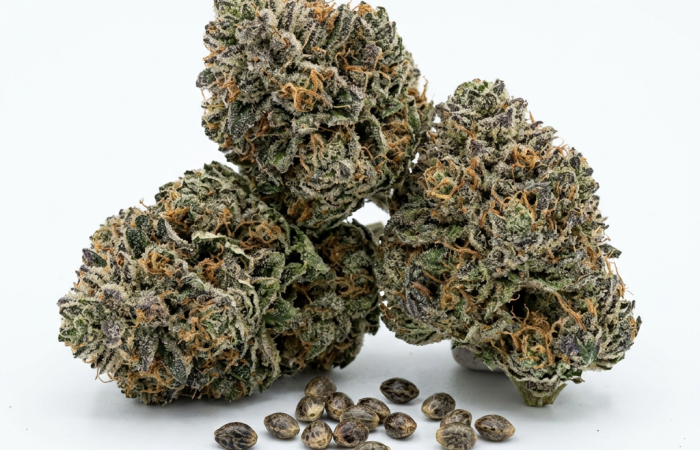 Banana Punch cannabis seeds - product photo