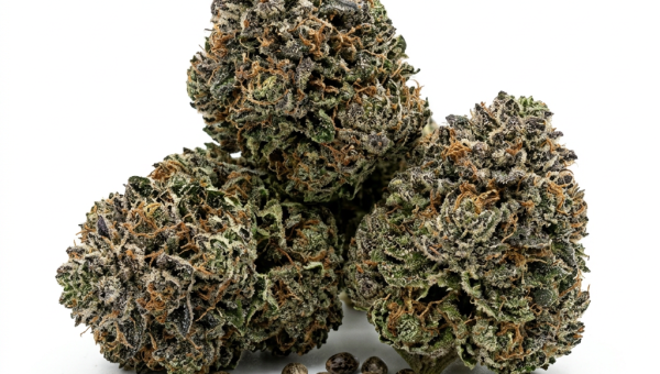 Big Blue cannabis seeds - product photo