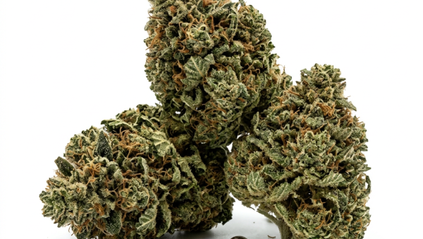 Big Bud XXL cannabis seeds - product photo