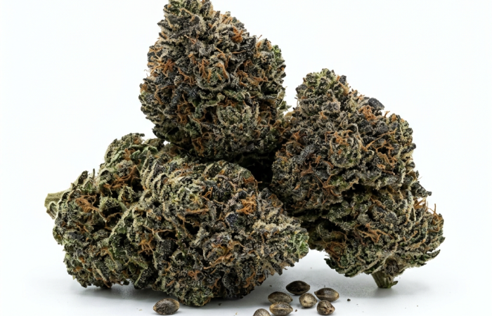 Black Demon cannabis seeds - product photo