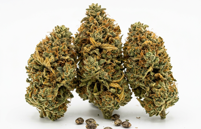 Cafe Racer cannabis seeds - product photo