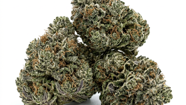 Cali Kush CBD cannabis seeds - product photo