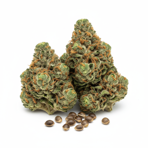 Cali Kush CBD Seeds