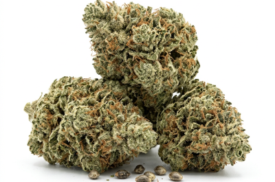 CBD Cheese cannabis seeds - product photo