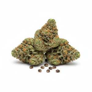 CBD Cheese Seeds