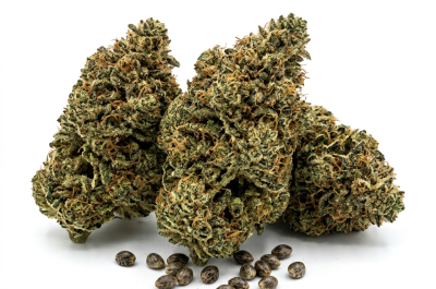 Cherry Blaster cannabis seeds - product photo