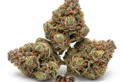 Cherry Blaster cannabis seeds and buds - product photo