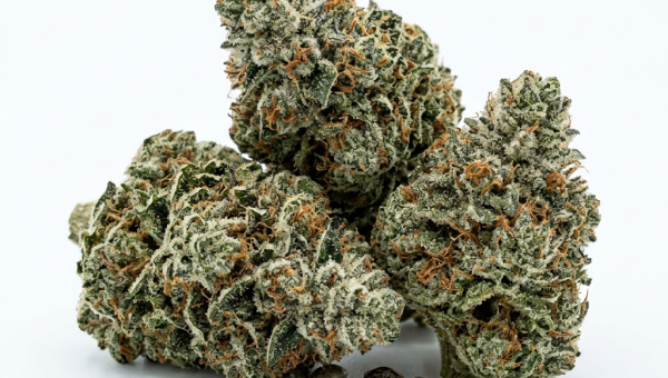 Glookie Bomb cannabis seeds - product photo