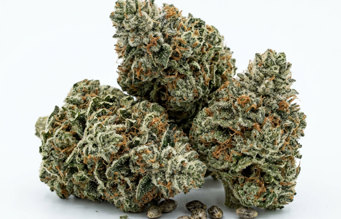 Glookie Bomb cannabis seeds - product photo