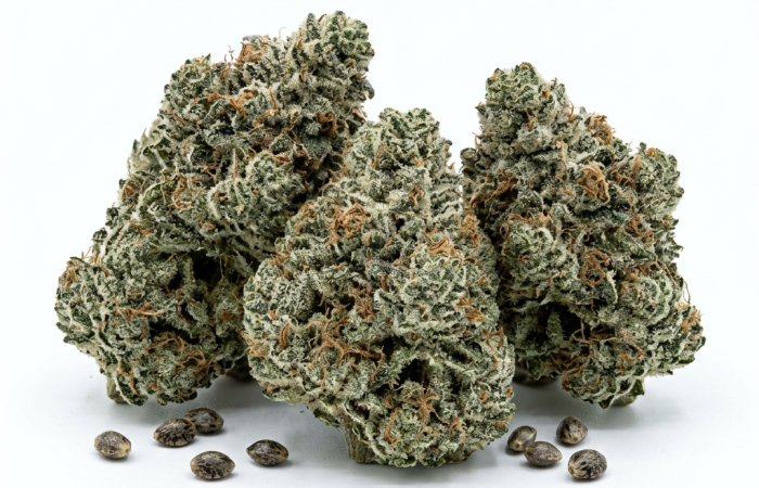 Gorilla Cookies cannabis seeds - product photo