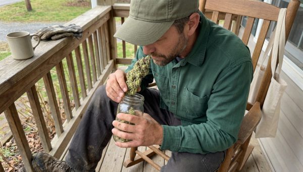 Man on porch smelling cannabis bud from jar, rocking chair and coffee mug nearby in bright morning light
