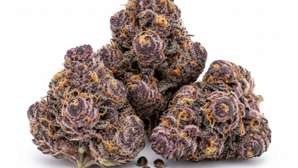 Purple Gelato cannabis seeds - product photo