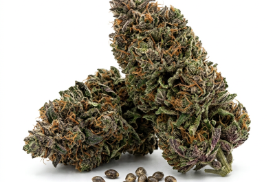 Purple Lemonade cannabis seeds - product photo