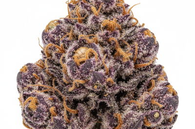 Purple Lemonade cannabis seeds - product photo