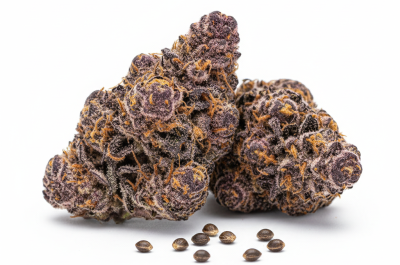 Purple Lemonade cannabis seeds and buds - product photo