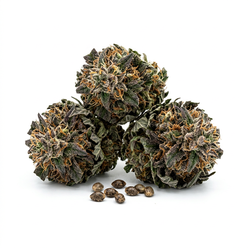 Purple Punch cannabis seeds - product photo