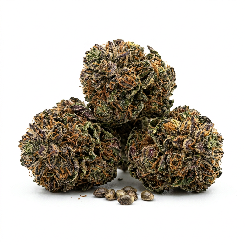 Purple Star Killer cannabis seeds - product photo